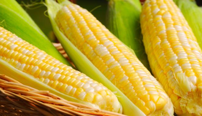 jagung-manis