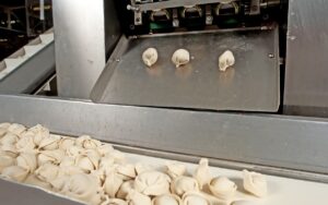 Pilihan Usaha Dimsum